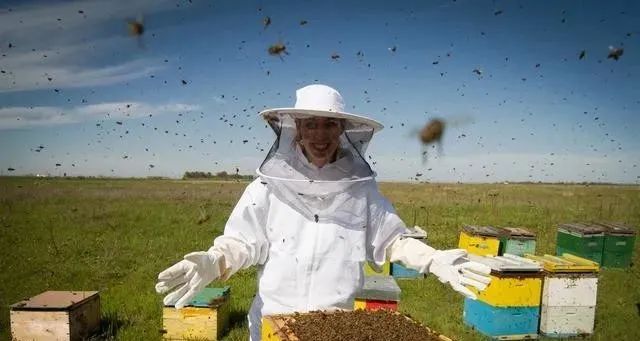 1种养好蜜蜂的管理方式，2松2紧养蜂法，冬暖夏凉蜜蜂喜欢